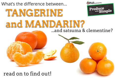 The Difference between Oranges, Mandarins, Tangerines, Satsumas and ...