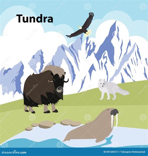 Tundra Eco Style Life Forest Wildlife Cartoon Vector | CartoonDealer ...