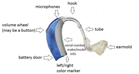 Oticon Hearing Aid Parts Diagram | Reviewmotors.co