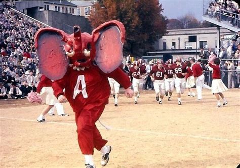 The Original Big Al Looks Like A Serial Killer : r/CollegeBasketball