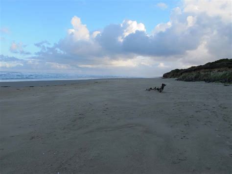 Tillicum Beach Campground - Oregon Coast