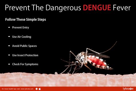 Prevent The Dangerous DENGUE Fever - Follow These Simple Steps - By Dr ...