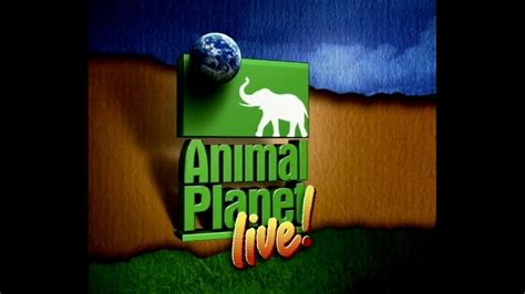 Animal Planet Live! Soundtrack Theme Music Score Universal Studios Hollywood Florida (2001 ...