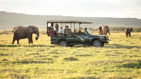 Masai Mara The Best Place For Safari | Airways Office