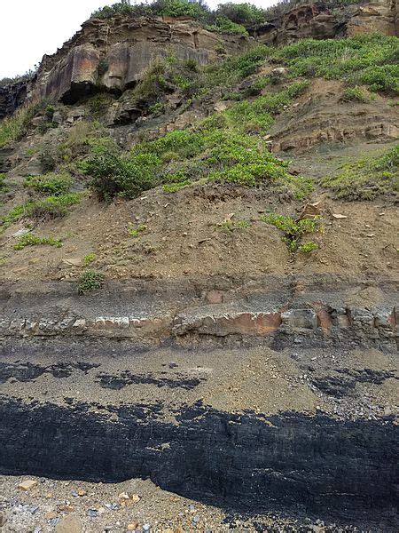 Image: Permian-Triassic boundary at Frazer Beach, NSW