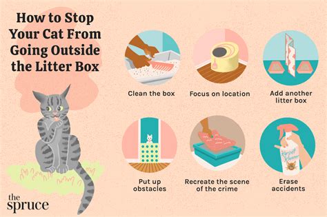 How to Stop Your Cat From Pooping Outside the Litter Box