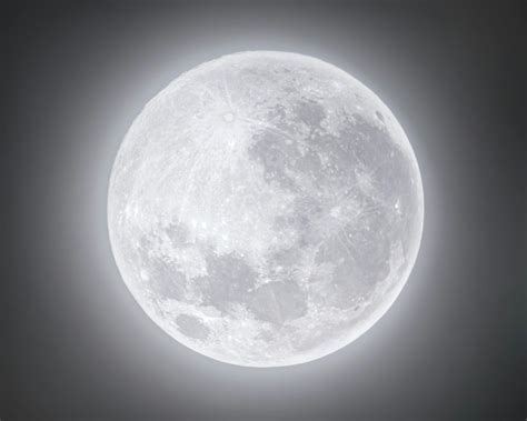 Full Moon on White Background · Free Stock Photo