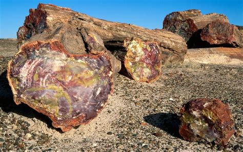 Petrified Forest National Park Wallpapers - Wallpaper Cave