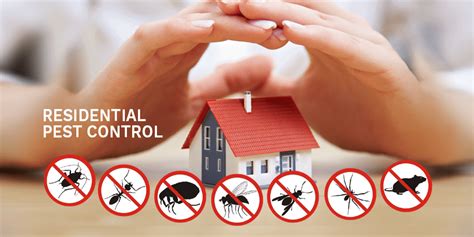 Pests and Pest Control Service | Pest Control Service in indore