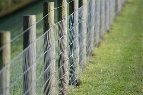 the fence is made of wood and wire with grass on both sides, along with water in the background