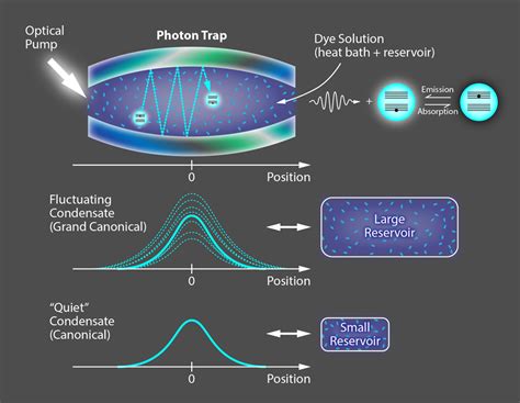 Physics - Statistical flickers in a Bose-Einstein Condensate of Photons