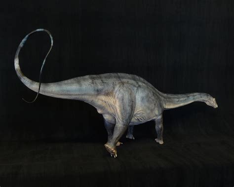 Apatosaurus by Baryonyx-walkeri on DeviantArt