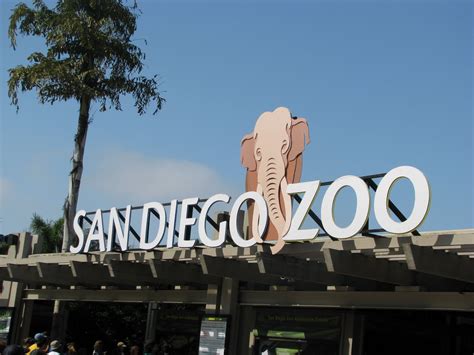 California Dreamin': San Diego Zoo