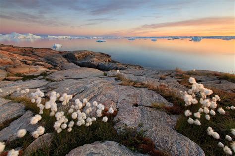 Hiking routes in North Greenland with views of icebergs - [Visit Greenland!]