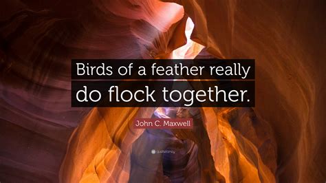 John C. Maxwell Quote: “Birds of a feather really do flock together.”