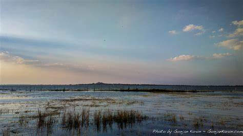 Lower Lake, Jahangirabad, Bhopal, Madhya Pradesh, India Sunrise Sunset ...