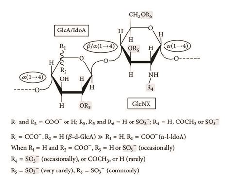 Structural representation of (a) heparan sulfate (HS) and (b)... | Download Scientific Diagram