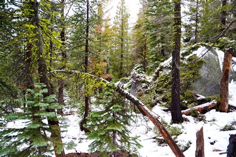 Gerle Creek Campground, a California National Forest