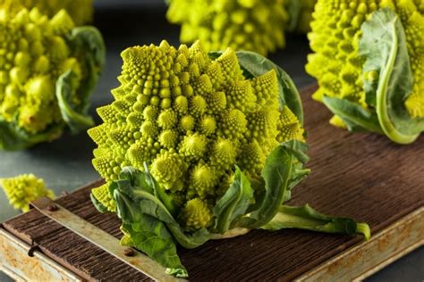 Fraktale in der Natur: Farne, Broccoli und Lungen