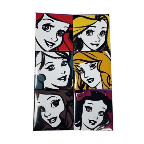 Disney Magnet - Set of Six Refrigerator Magnets - Princess