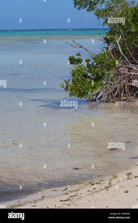 Guardalavaca beach in Southern Cuba, currently threatened by an unsustainable massive tourism ...