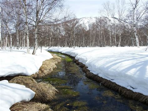 Free download | HD wallpaper: Spring, Melting, Snow, Puddles, the ...