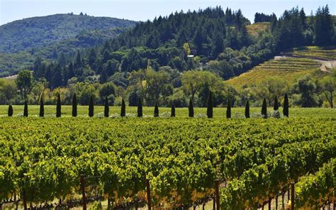 Wine Country in California - A Glorious Region - Caravanzers Magazine