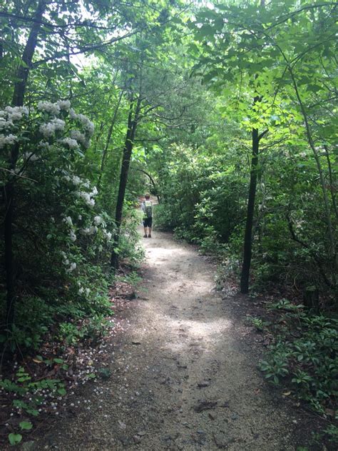 Hanging Rock State Park NC hiking trail | State parks, Country roads, Hiking trails