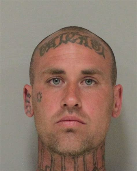 CRIME SCENE USA: MUGSHOT MADNESS: CUTE TATTOO WEEK REDUX