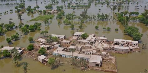 Punjab: Heavy rains, floods kill 49 in six districts