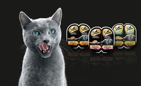 Sheba Cat Food Review August 2024: Best Wet Cat Food?