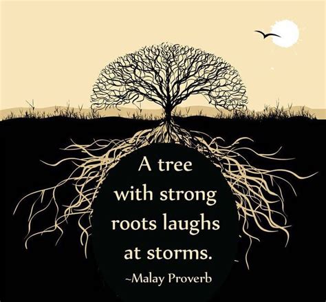 tree | Tree of life quotes, Roots quotes, Tree quotes