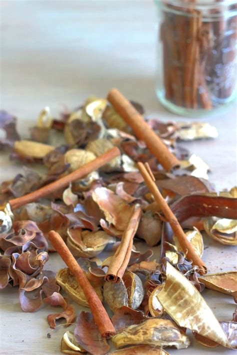 22 Homemade Potpourri Recipes | Snappy Living