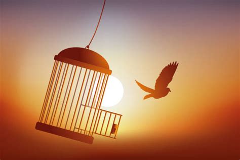 Bird Escaping Cage Illustrations, Royalty-Free Vector Graphics & Clip ...