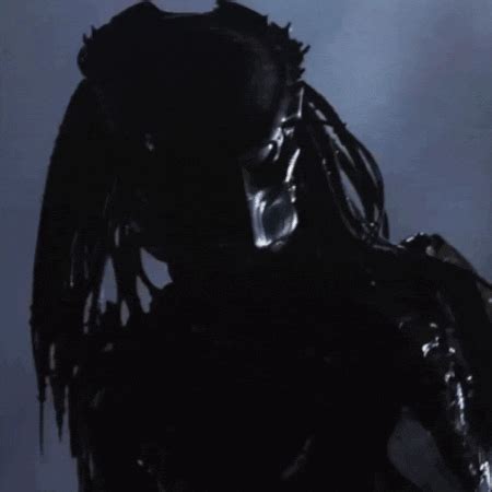 via GIPHY | Alien vs predator, Predator alien movie, Predator alien