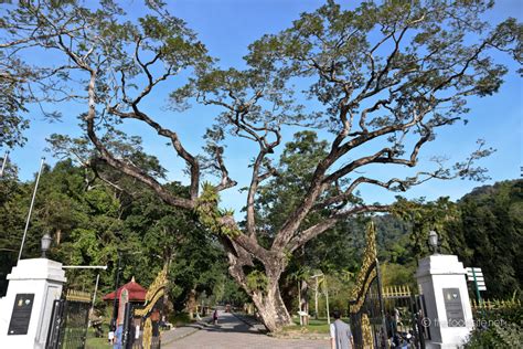 Penang Botanical Garden – The Food Site