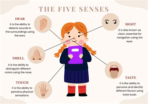 Free Five Senses Chart For Kindergarten Template - Edit Online & Download | Template.net