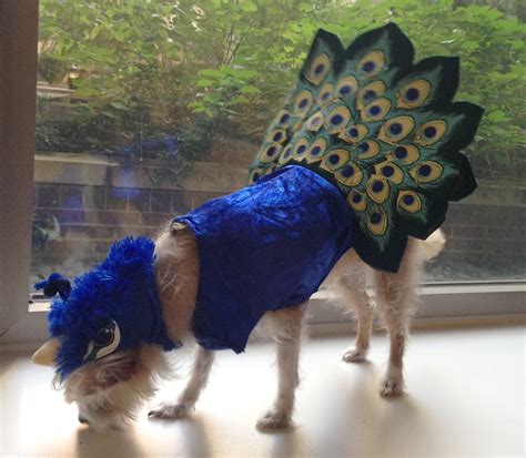 Animal Planet Halloween Costumes Make a Splash in Pet Parade! - Bark ...