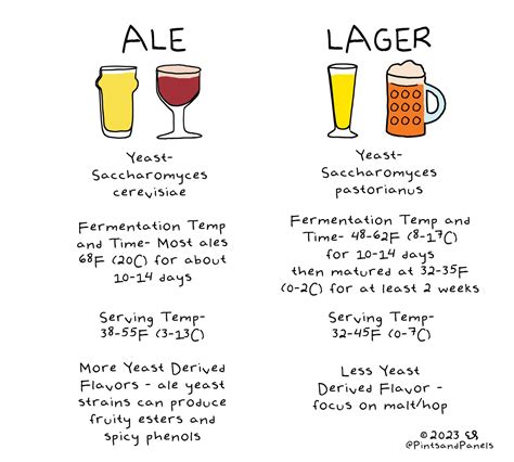 The Difference of Ales vs. Lagers — Pints and Panels