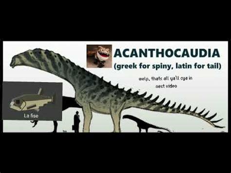 acanthocaudia analysis video - YouTube