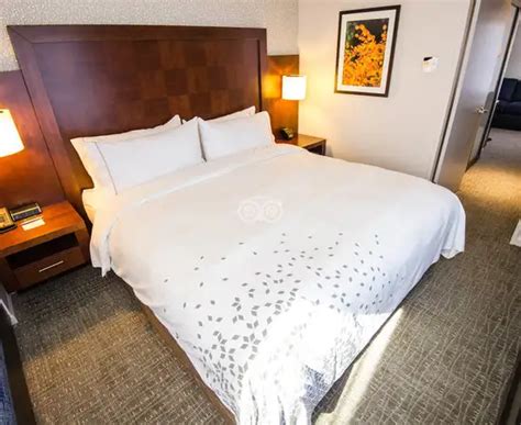 Renaissance Seattle Hotel (Seattle, WA): What to Know BEFORE You Bring ...