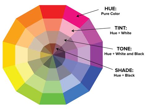 How Do You Use The Color Wheel at Lisa Smith blog