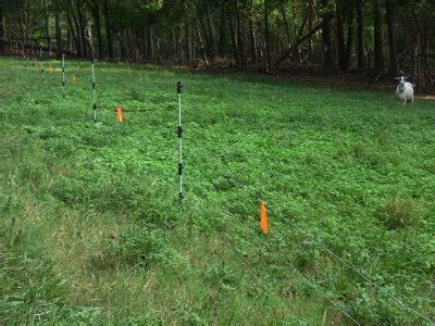 5 Acres & A Dream: Developing a Pasture Rotation Plan: Part 2