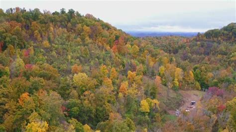 Discover the secret spots across East Tennessee to see fall foliage ...