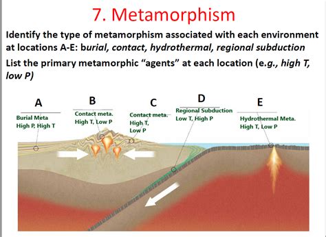 [Solved] Identify the type of metamorphism associated with each ...