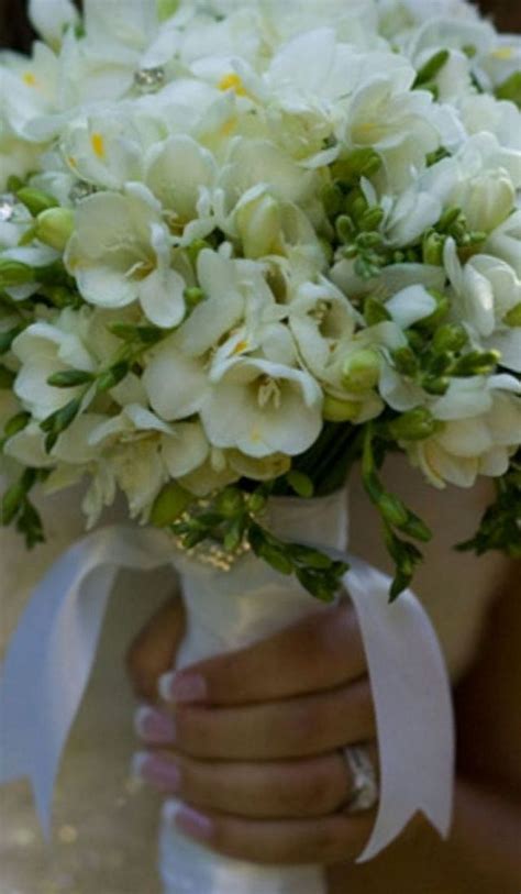 Wedding Bouquet of Freesia