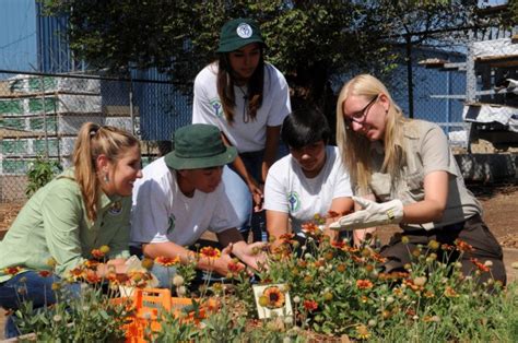 Horticulture Therapy: Gardening for Mental Health | Solara