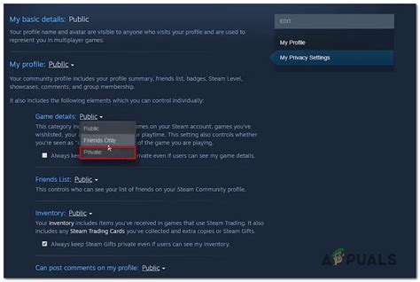 How to Hide Steam Activity from Friends