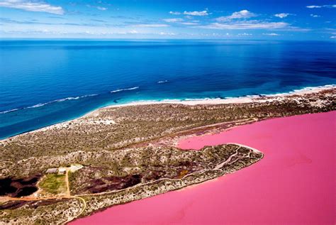 Pink Lake in Canada - Dusty Rose Lake in Tweedsmuir Park - Daily Tings