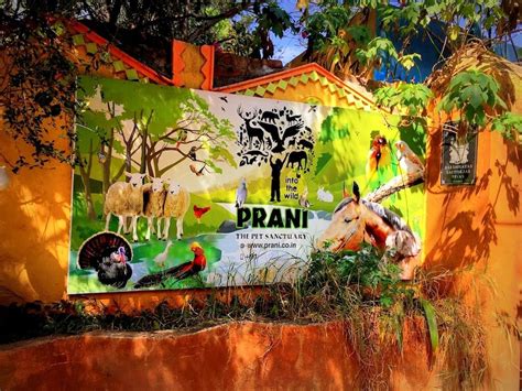 PRANI - The Pet Sanctuary, Bengaluru | Pallavi Bhat